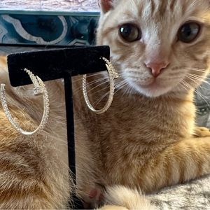 Gold hoop nail earrings pave set diamonds‎ Garfield not included haha. New